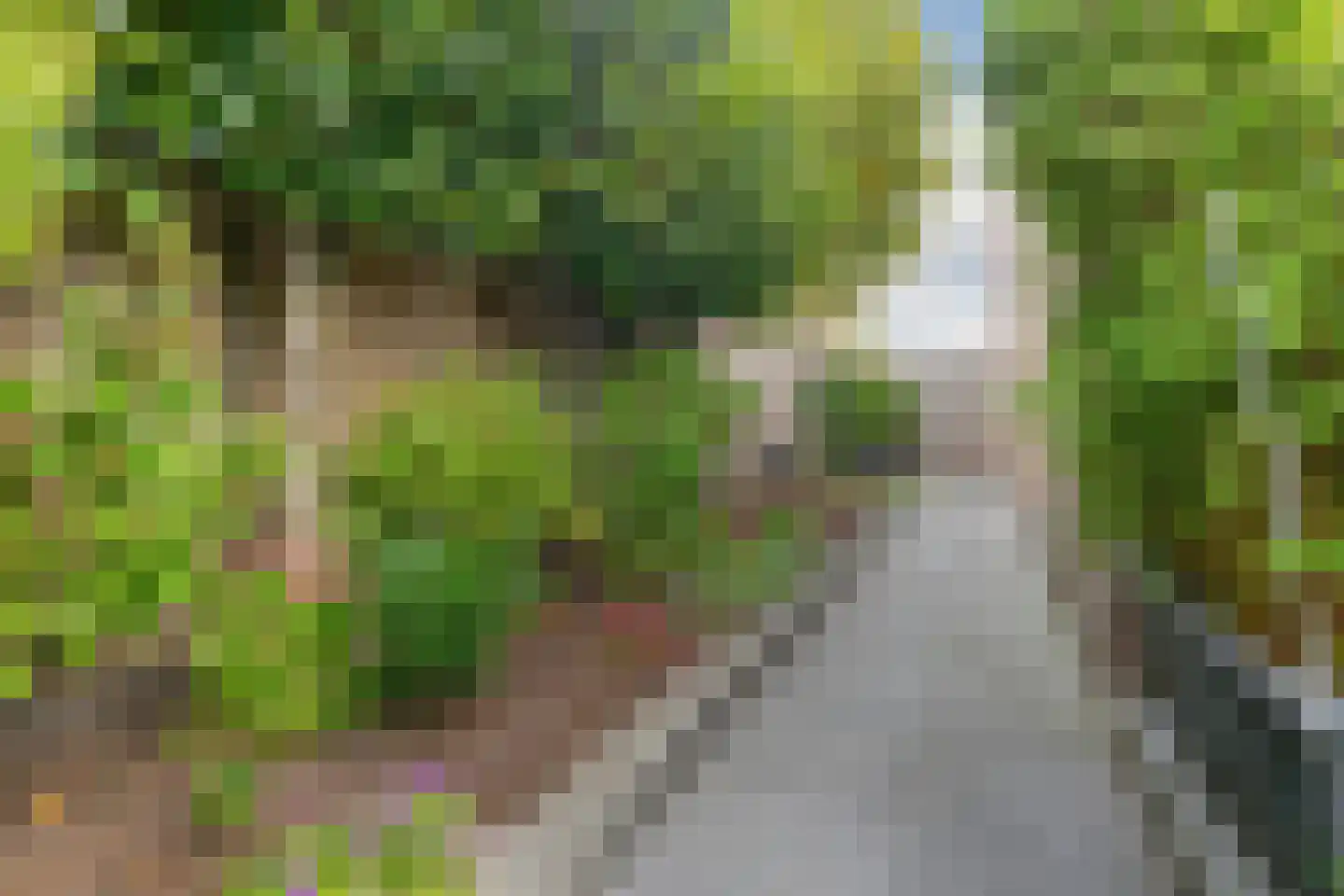 Oude Pyramide 13 Wijk bij Duurstede thumbnail 50