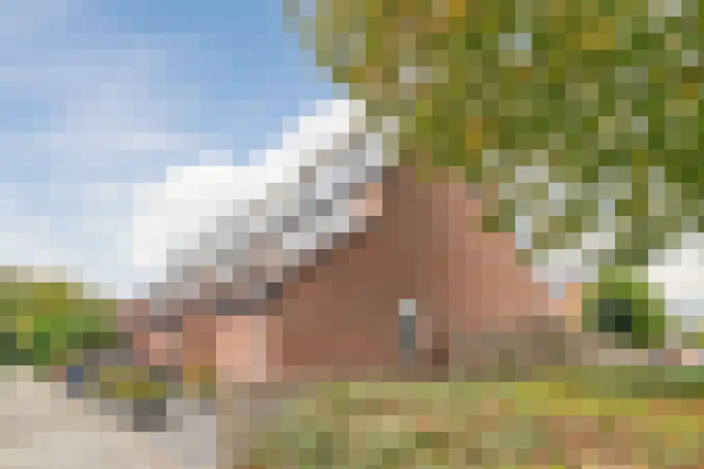 Oude Pyramide 13 Wijk bij Duurstede thumbnail 53
