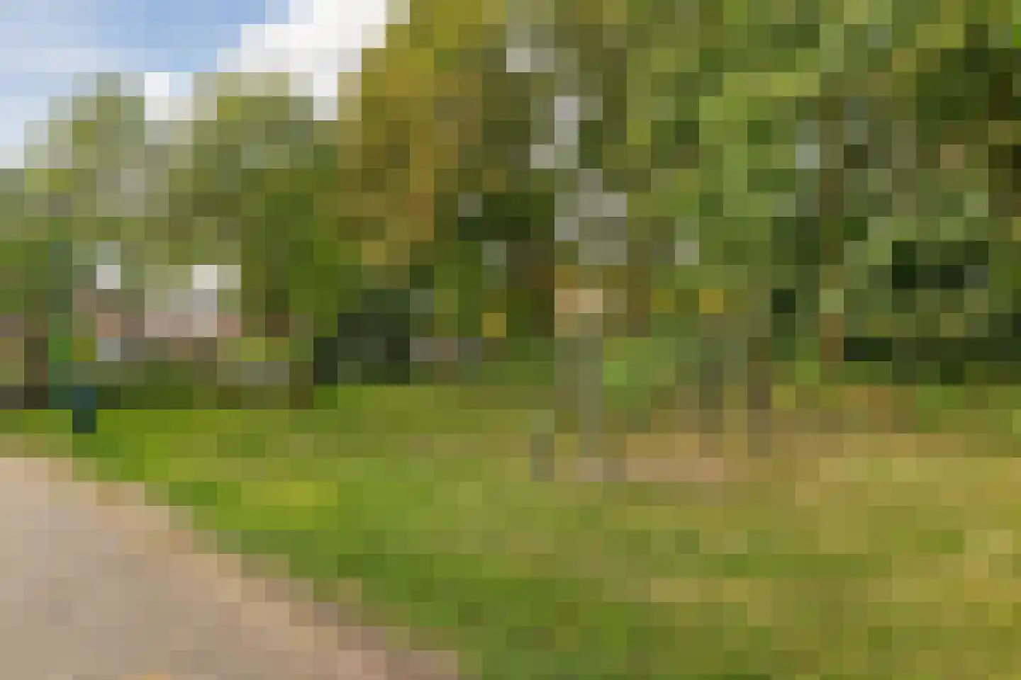 Oude Pyramide 13 Wijk bij Duurstede thumbnail 55
