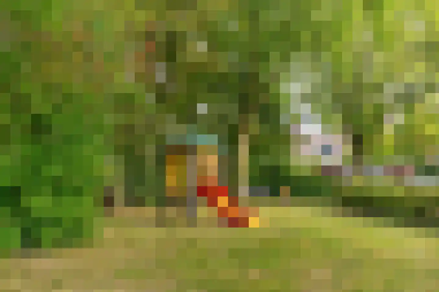 Oude Pyramide 13 Wijk bij Duurstede thumbnail 56