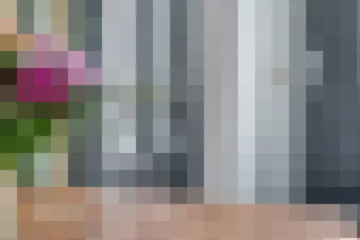 Oude Pyramide 20 Wijk bij Duurstede thumbnail 12