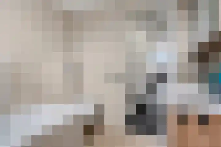 Oude Pyramide 20 Wijk bij Duurstede thumbnail 30