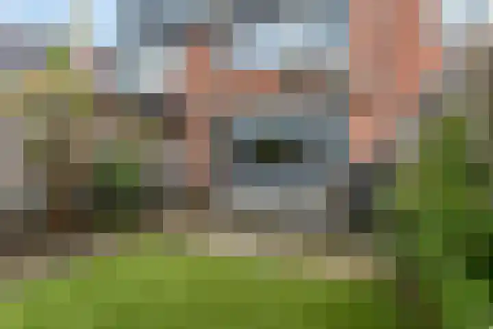 Oude Pyramide 20 Wijk bij Duurstede thumbnail 37
