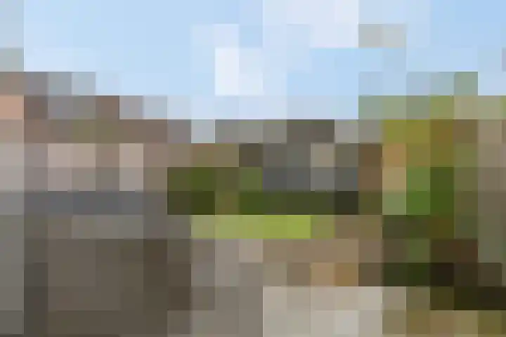 Oude Pyramide 20 Wijk bij Duurstede thumbnail 38