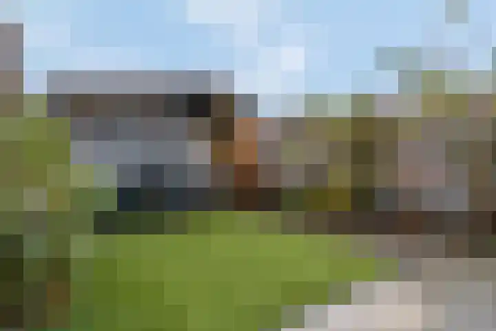 Oude Pyramide 20 Wijk bij Duurstede thumbnail 41