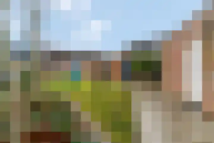 Oude Pyramide 20 Wijk bij Duurstede thumbnail 42