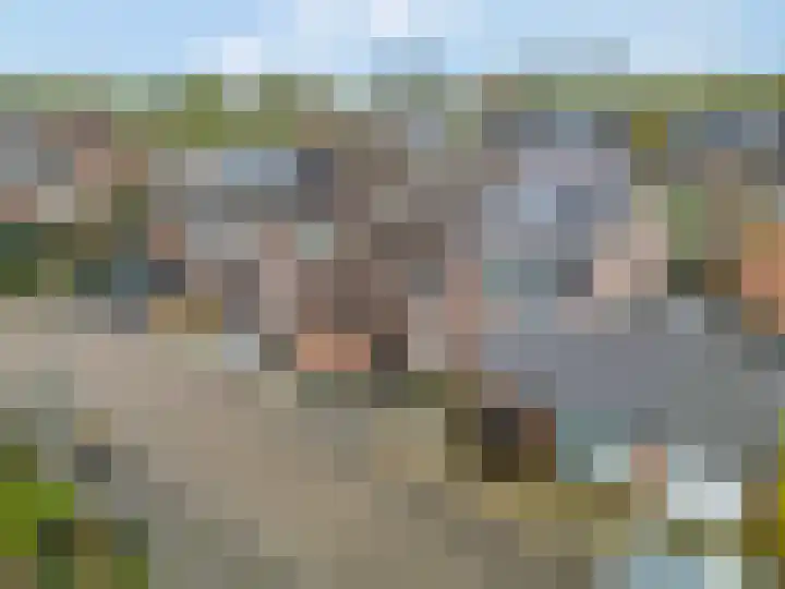 Oude Pyramide 20 Wijk bij Duurstede thumbnail 48