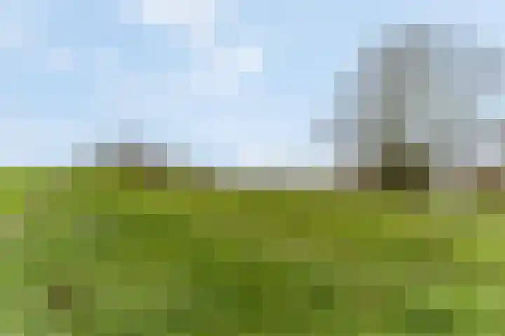 Oude Pyramide 20 Wijk bij Duurstede thumbnail 49