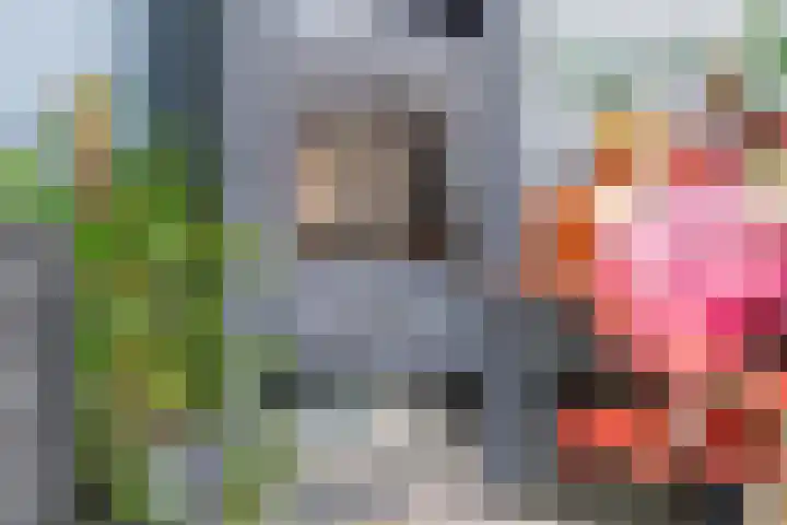 Oude Pyramide 20 Wijk bij Duurstede thumbnail 5