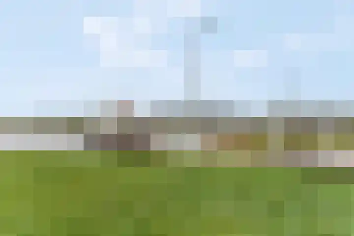 Oude Pyramide 20 Wijk bij Duurstede thumbnail 50