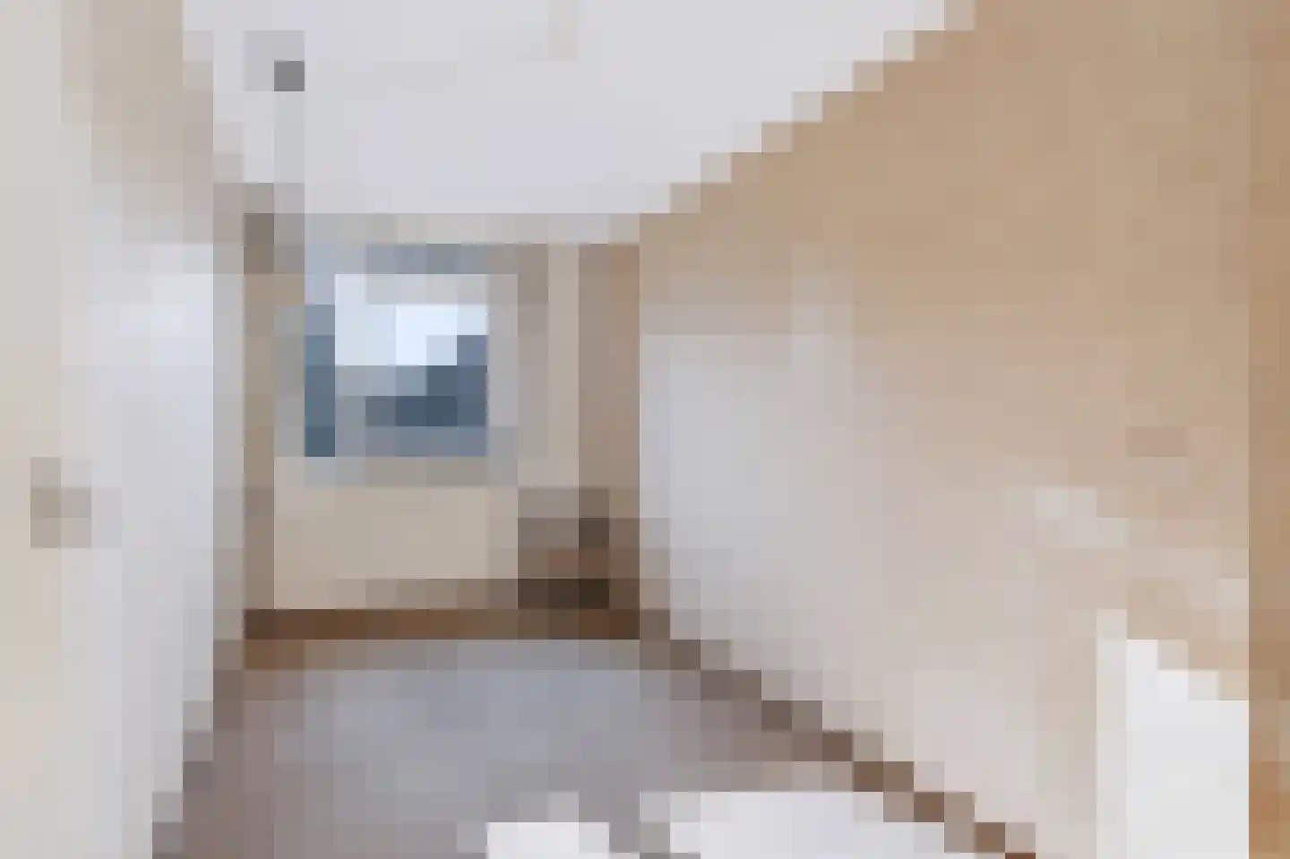 Oude Pyramide 31 Wijk bij Duurstede thumbnail 24