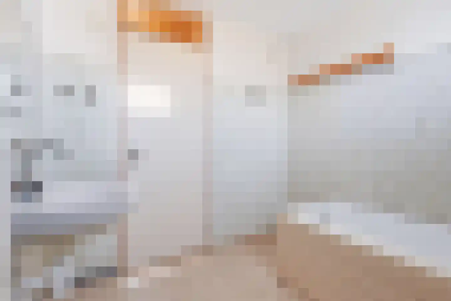 Oude Pyramide 31 Wijk bij Duurstede thumbnail 28