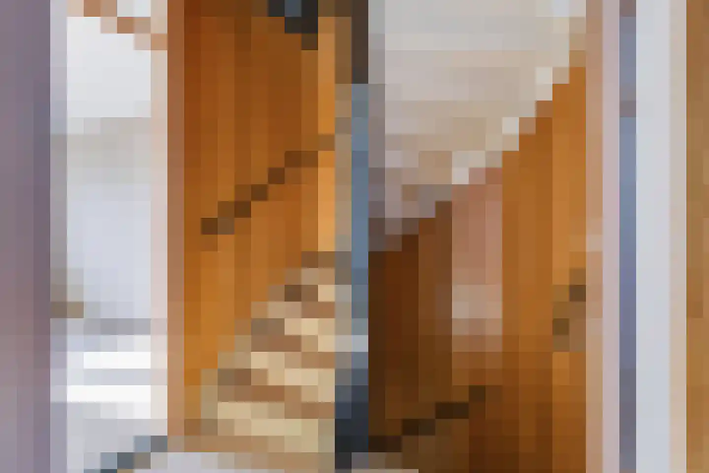 Oude Pyramide 31 Wijk bij Duurstede thumbnail 31