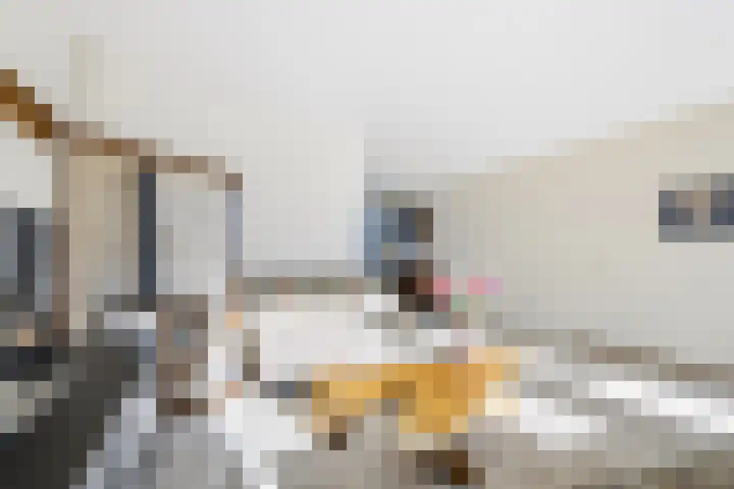 Oude Pyramide 31 Wijk bij Duurstede thumbnail 8