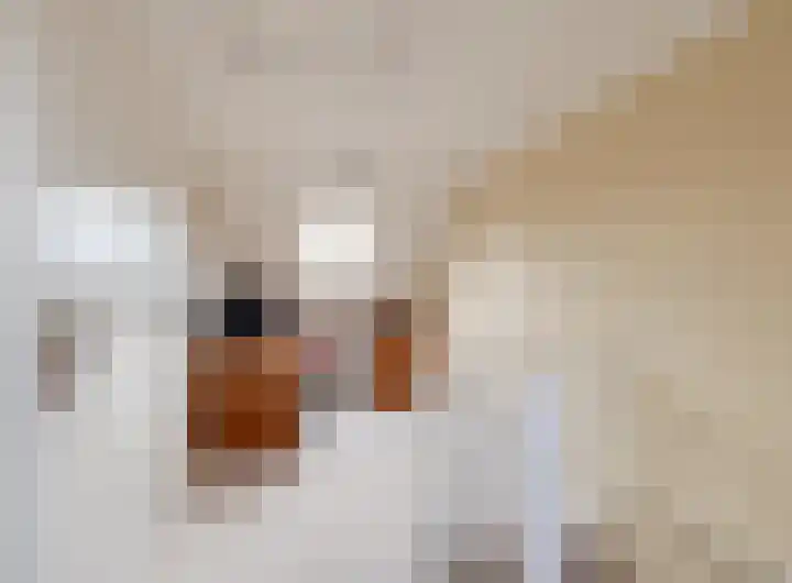 Oude Pyramide 57 Wijk bij Duurstede thumbnail 31