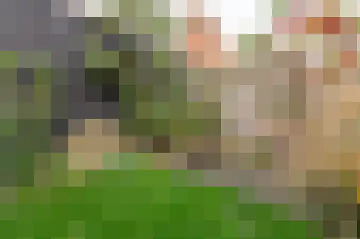 Oude Pyramide 57 Wijk bij Duurstede thumbnail 37