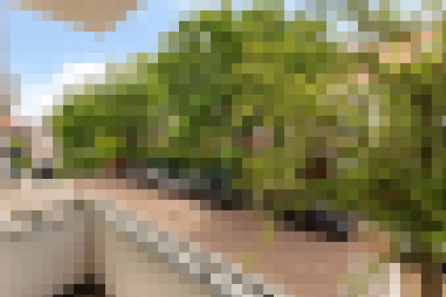 Oude Raadhuislaan 104 Rotterdam thumbnail 10