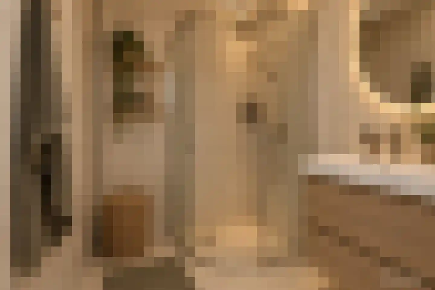 Oude Raadhuislaan 104 Rotterdam thumbnail 15