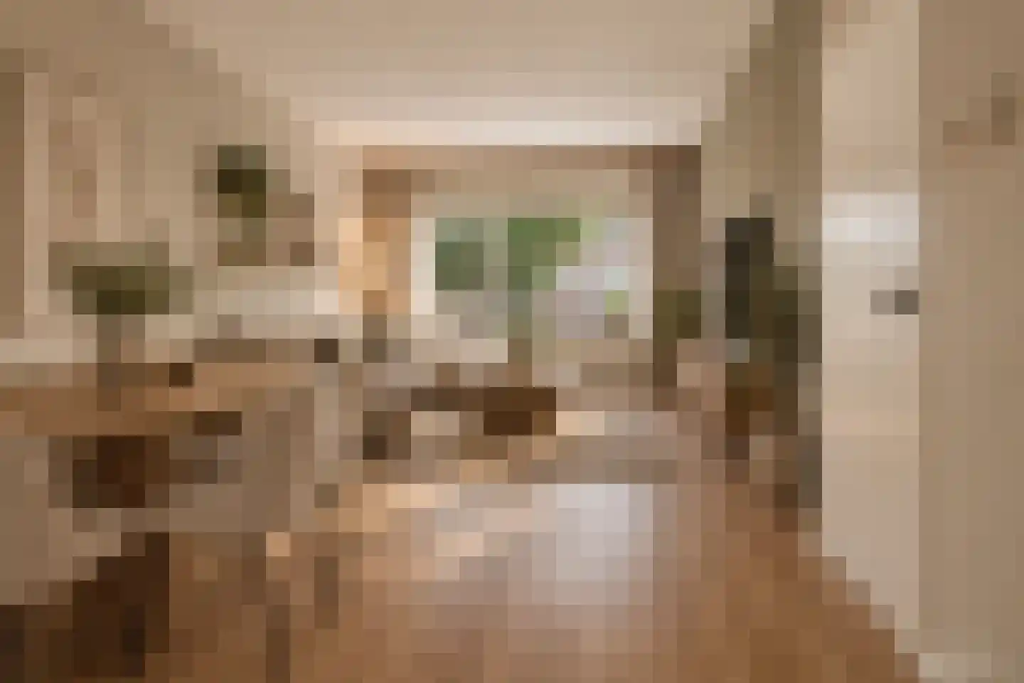 Oude Raadhuislaan 104 Rotterdam thumbnail 5
