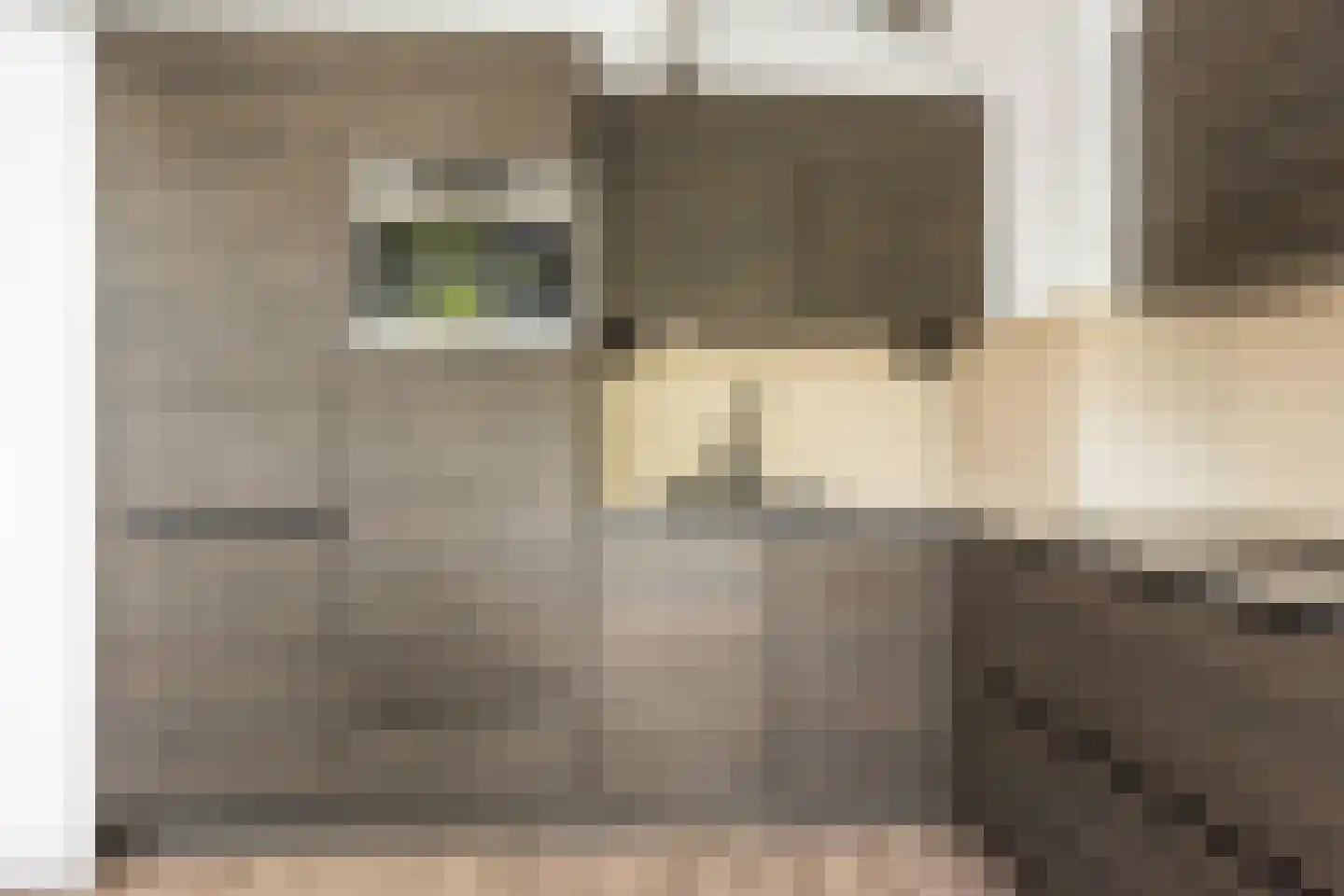 Oude Raadhuislaan 120 Rotterdam thumbnail 13