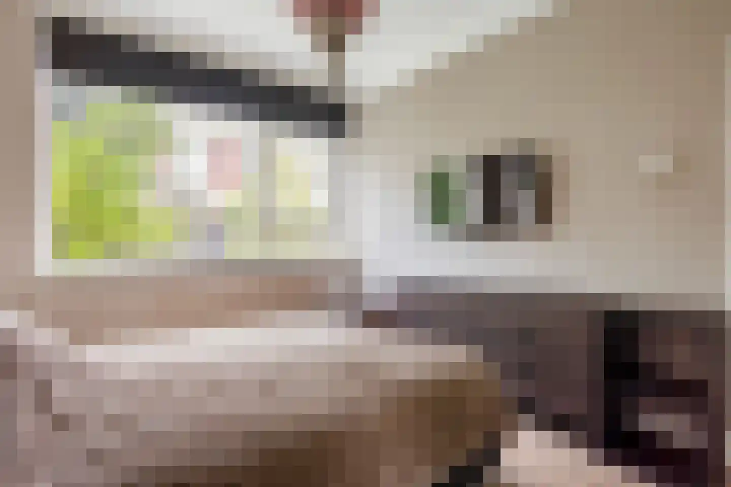 Oude Raadhuislaan 120 Rotterdam thumbnail 16