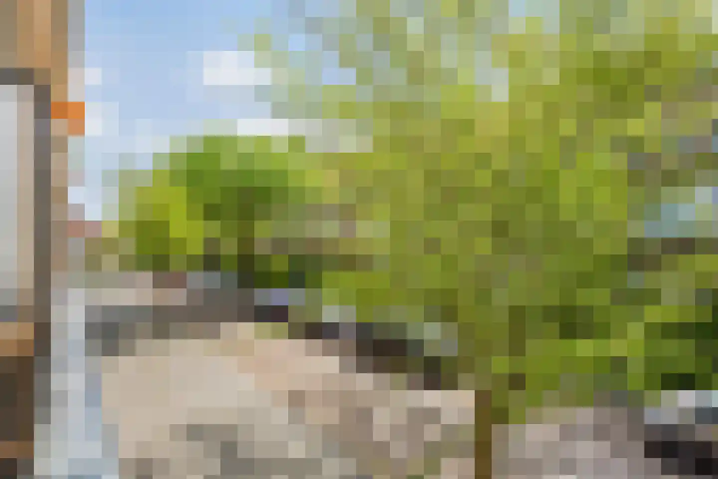 Oude Raadhuislaan 120 Rotterdam thumbnail 21
