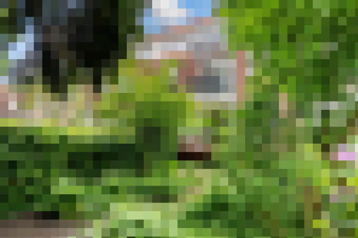Oude Raadhuislaan 27 A Rotterdam thumbnail 32