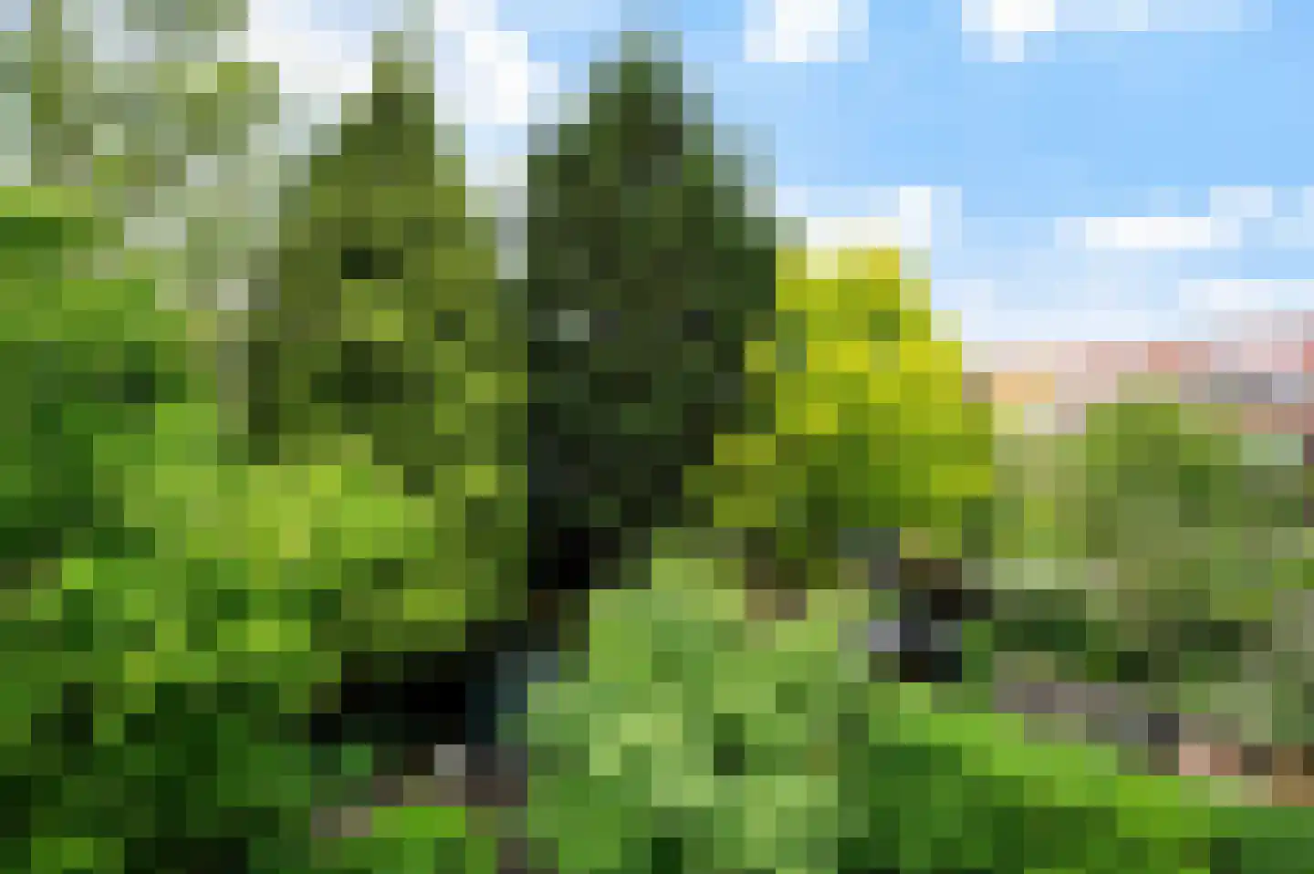 Oude Raadhuislaan 27 A Rotterdam thumbnail 35