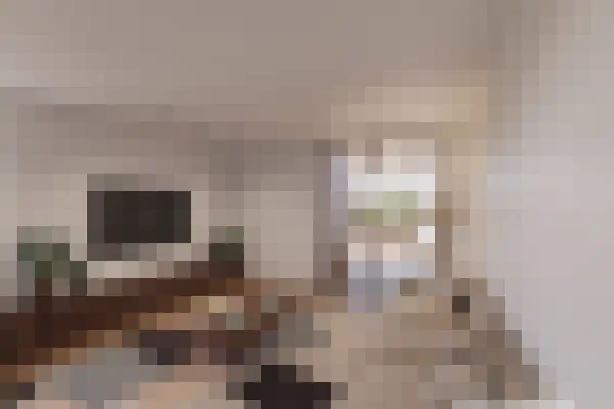 Oude Raadhuislaan 32 Rotterdam thumbnail 4