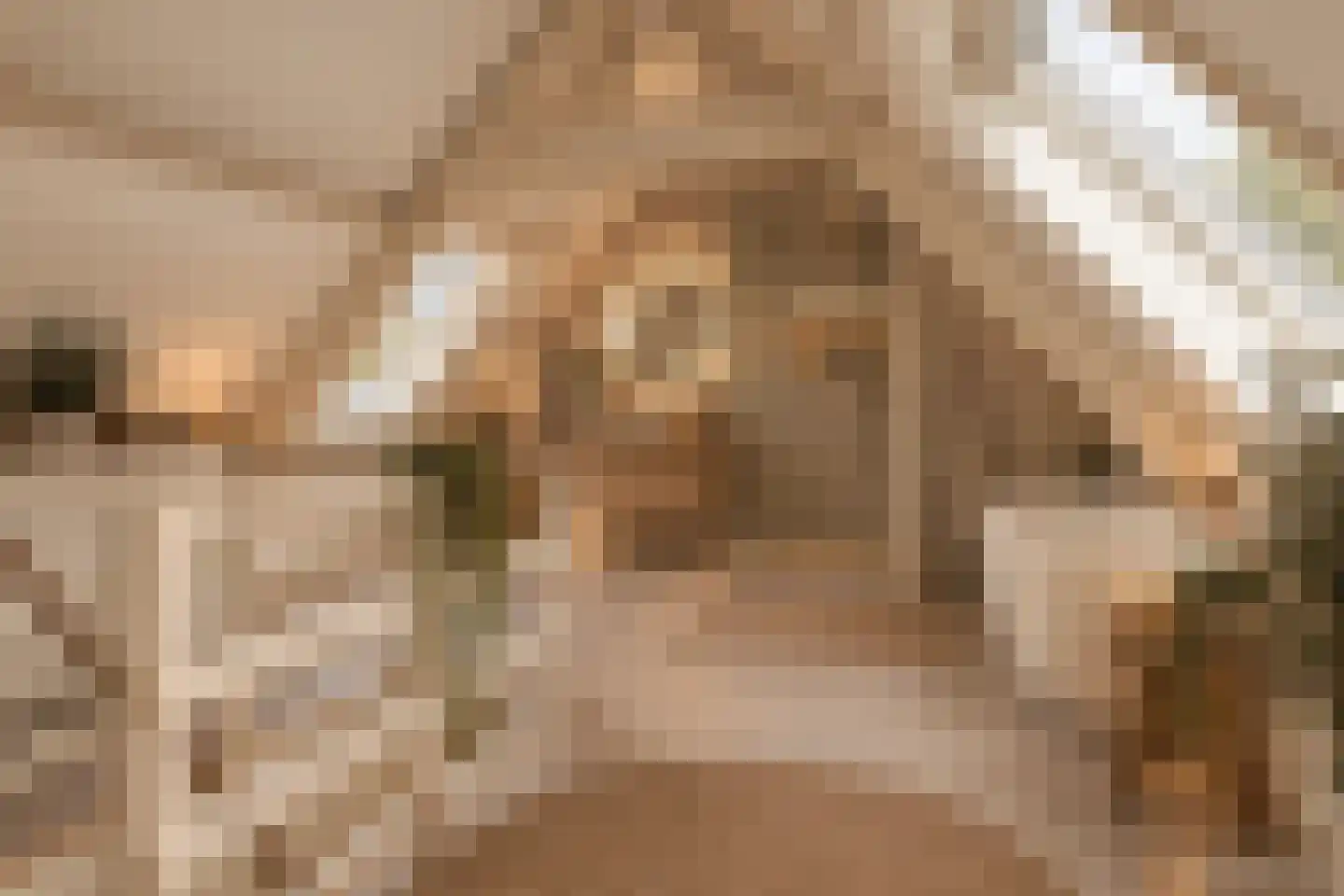 Oude Raadhuislaan 33 B Rotterdam thumbnail 11