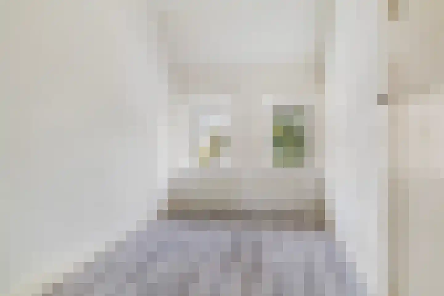 Oude Raadhuislaan 33 B Rotterdam thumbnail 7