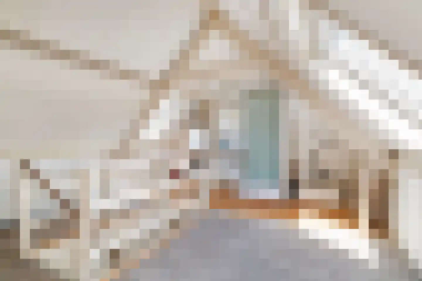 Oude Raadhuislaan 33 B Rotterdam thumbnail 8