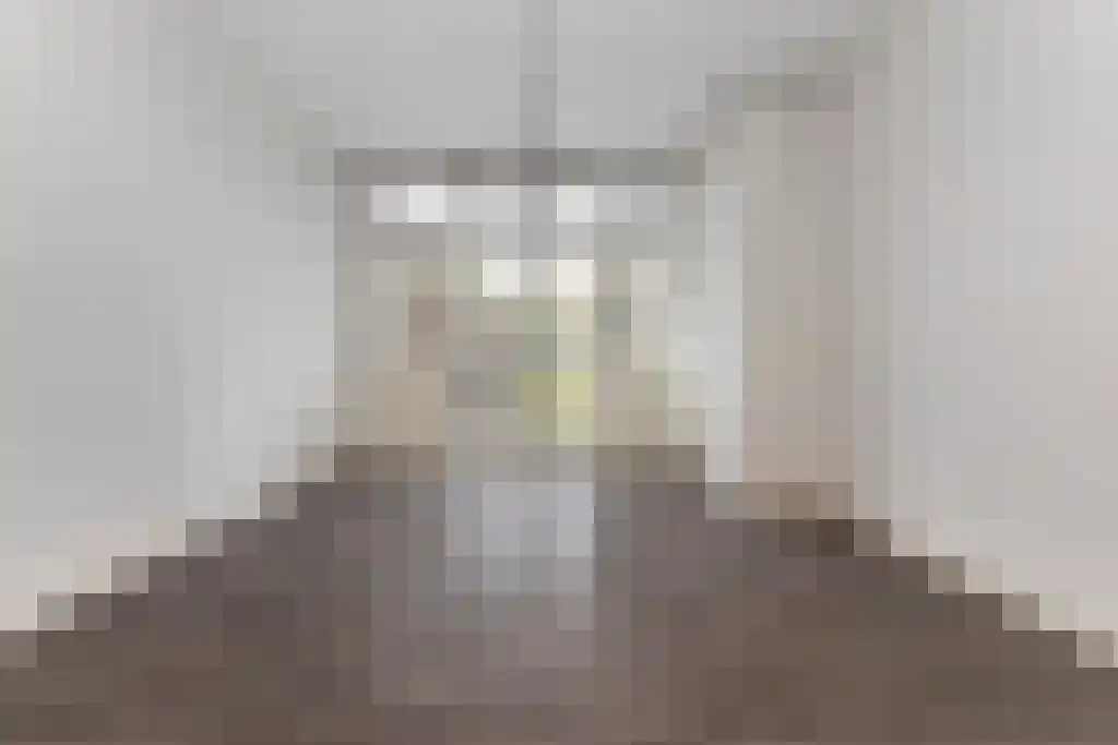 Oude Raadhuislaan 45 A Rotterdam thumbnail 6