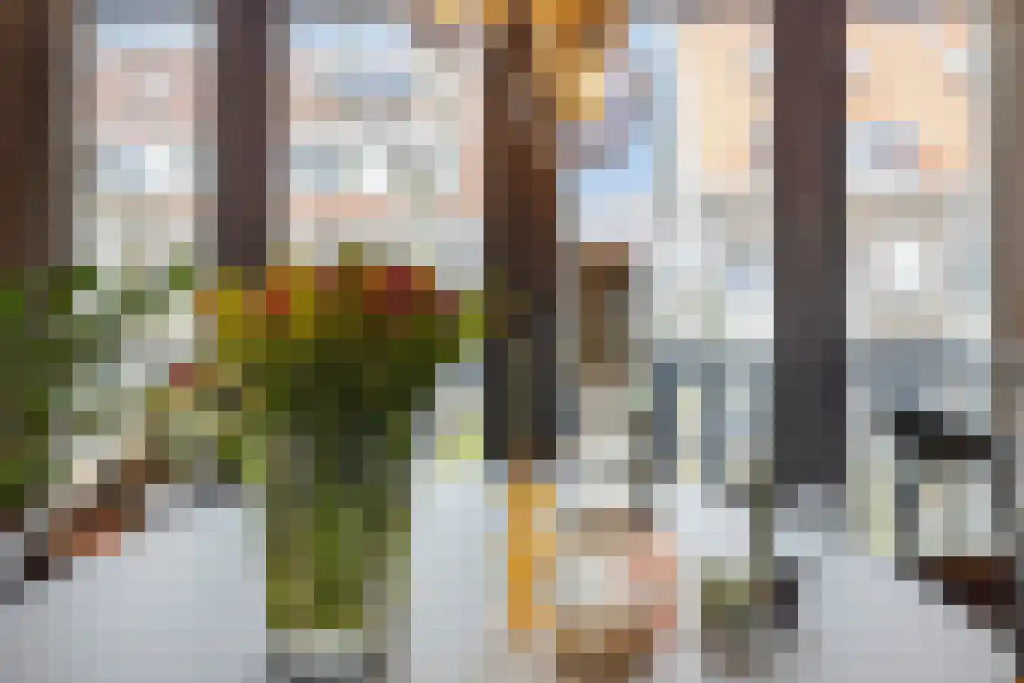 Oude Raadhuislaan 55 A Rotterdam thumbnail 13