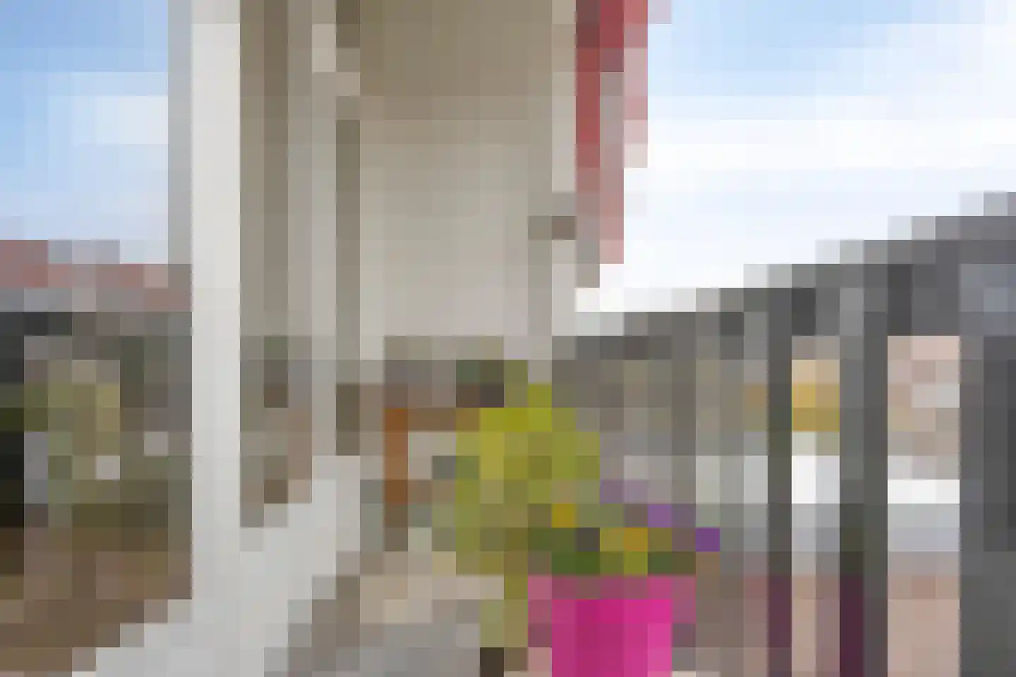 Oude Raadhuislaan 55 A Rotterdam thumbnail 18