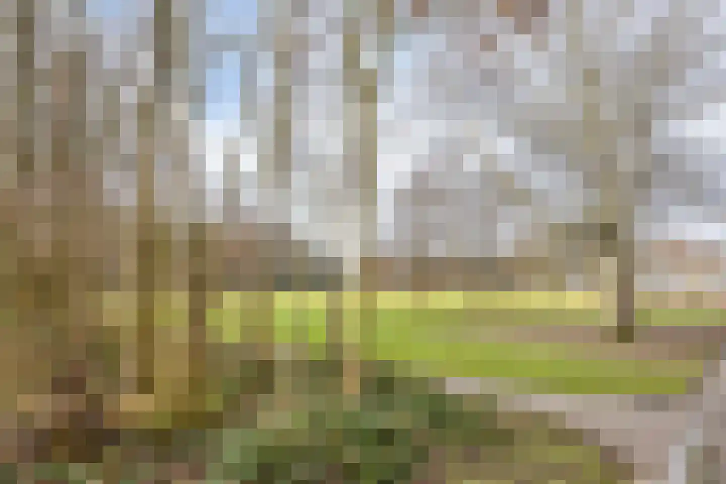 Oude Raadhuislaan 55 A Rotterdam thumbnail 31