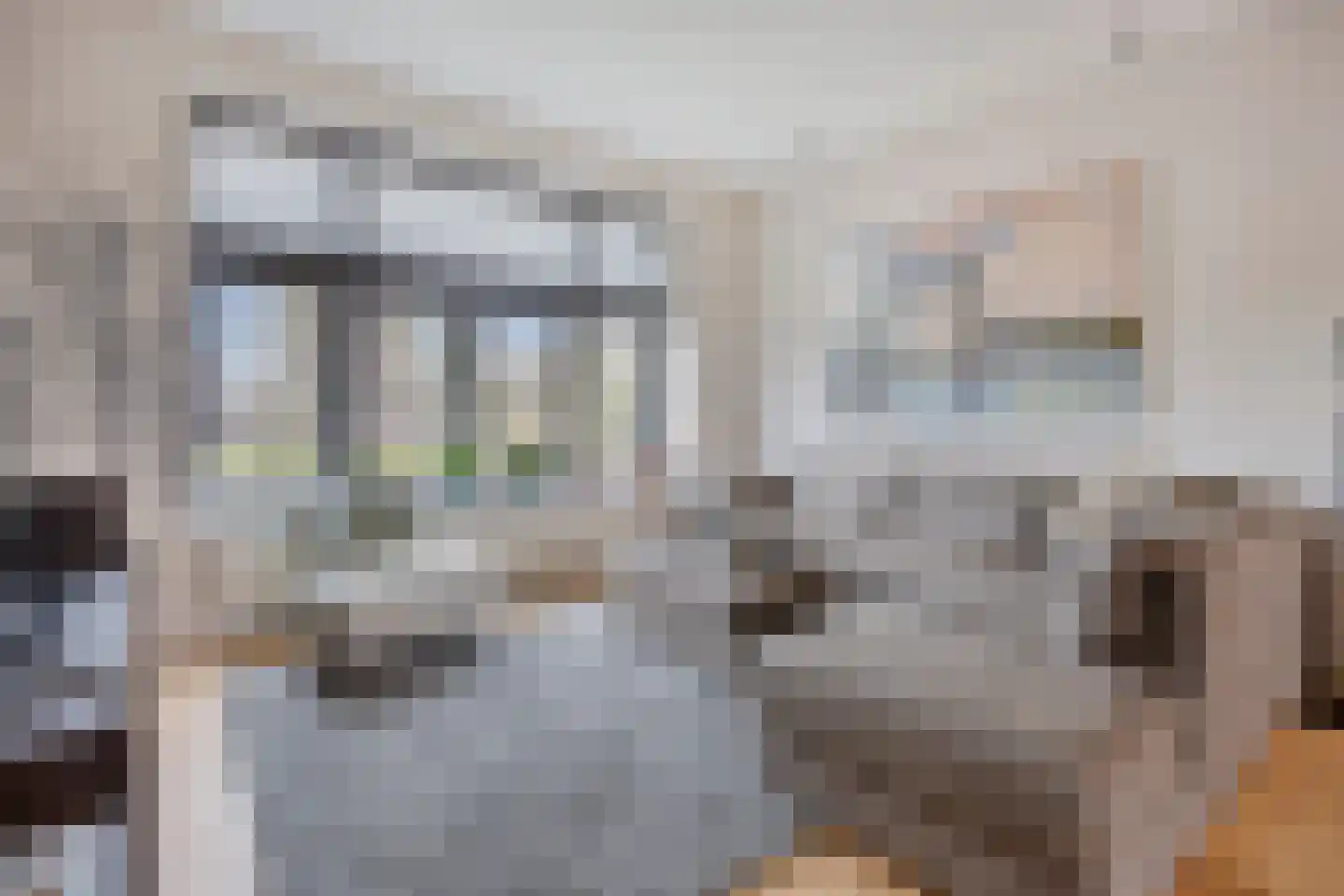 Oude Raadhuislaan 55 A Rotterdam thumbnail 8