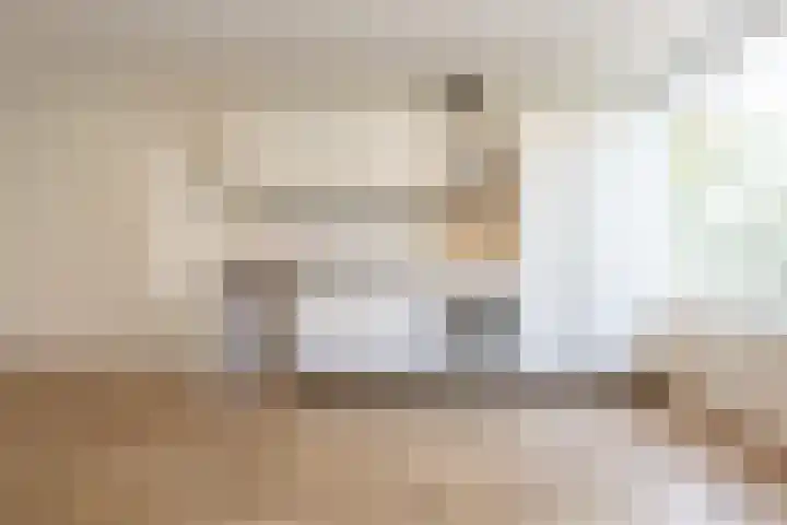 Oude Raadhuislaan 66 Rotterdam thumbnail 10