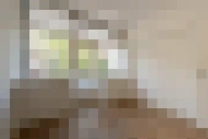 Oude Raadhuislaan 66 Rotterdam thumbnail 11