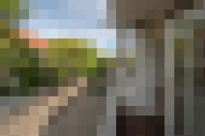 Oude Raadhuislaan 66 Rotterdam thumbnail 13