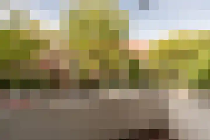 Oude Raadhuislaan 66 Rotterdam thumbnail 14