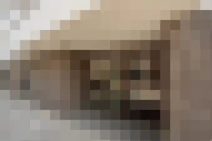 Oude Raadhuislaan 66 Rotterdam thumbnail 24
