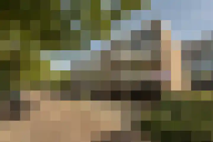 Oude Raadhuislaan 66 Rotterdam thumbnail 26