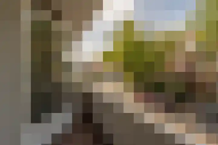 Oude Raadhuislaan 66 Rotterdam thumbnail 5