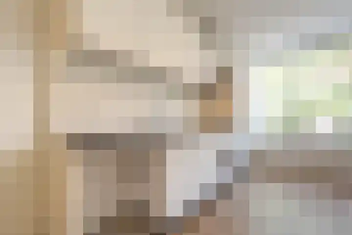 Oude Raadhuislaan 66 Rotterdam thumbnail 8