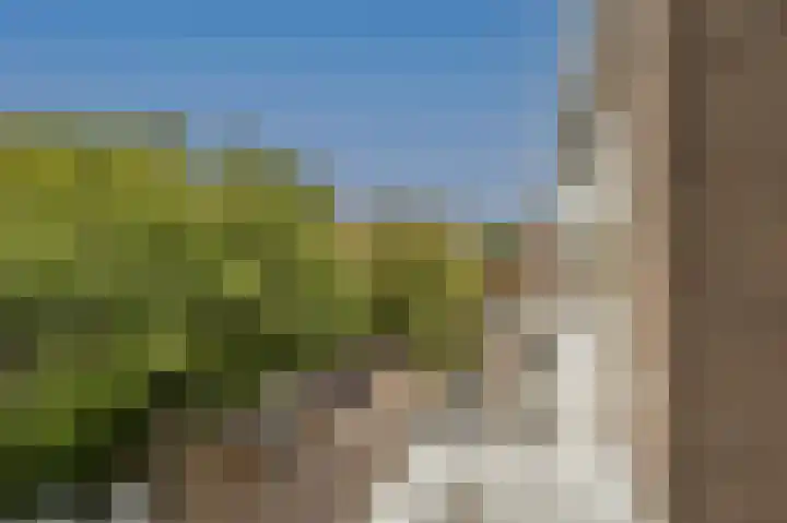 Oude Raadhuislaan 78 Rotterdam thumbnail 12
