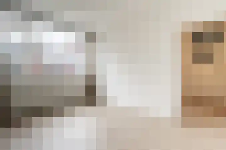 Oude Raadhuislaan 78 Rotterdam thumbnail 18