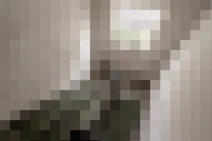 Oude Raadhuislaan 78 Rotterdam thumbnail 25