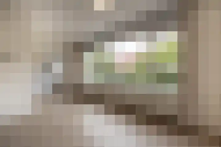 Oude Raadhuislaan 78 Rotterdam thumbnail 4