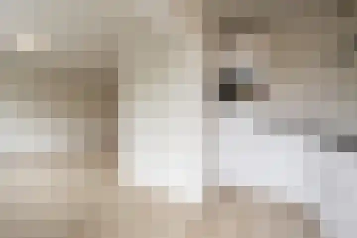 Oude Raadhuislaan 78 Rotterdam thumbnail 7
